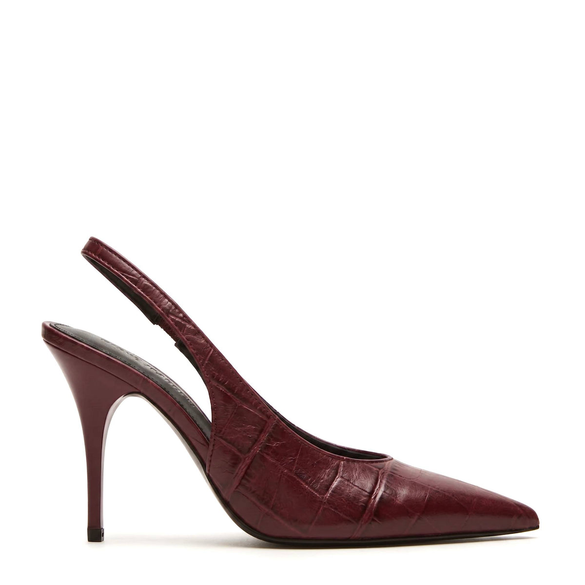 Décolleté STEVE MADDEN ANDROMEDA - Burgundy Croco