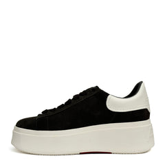 ASH MOBY sneaker - Bistro/Gardenia