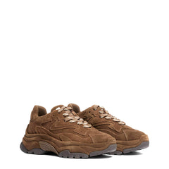 Sneaker ASH ADDICT BIS - Suede Mink