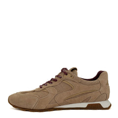 Sneaker ASH KASAR - Noisette