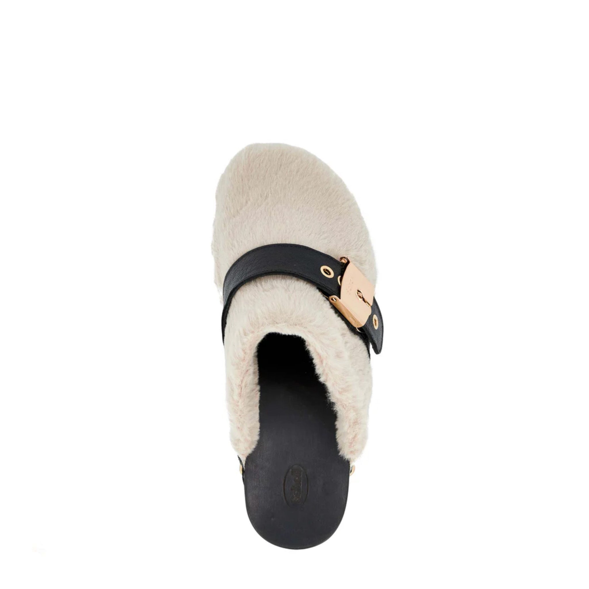 Zoccoli SCHOLL PESCURA ALASKA White price online