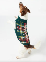 Pulldog SAINT BARTH FREDDO - Tartan - Sergio Fabbri